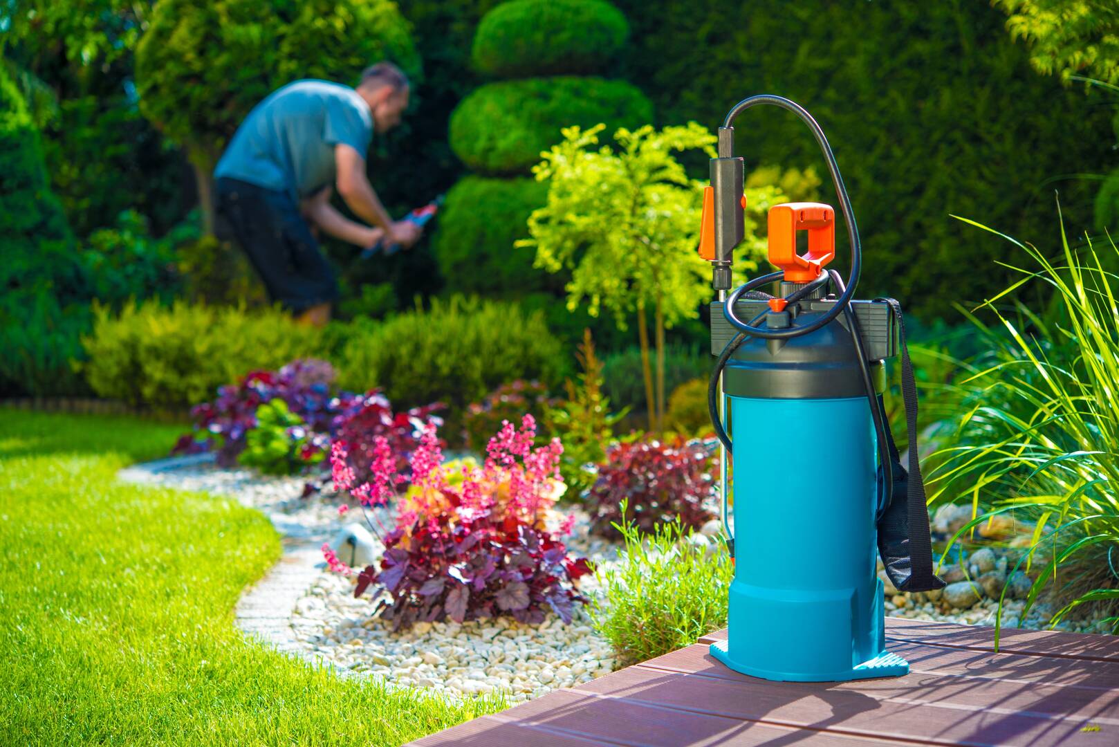 Pest Tech Inc