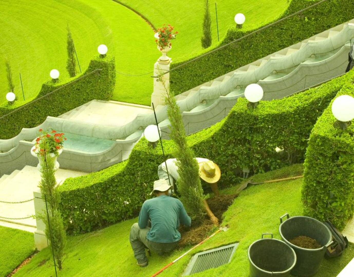 Custom Tree Surgeons