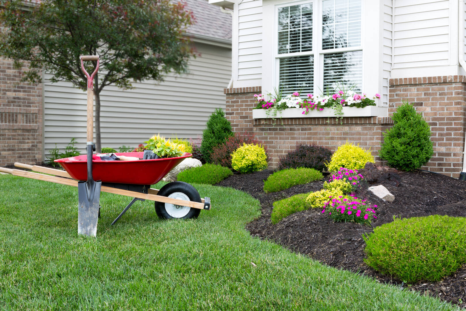 Bay City Tree Services