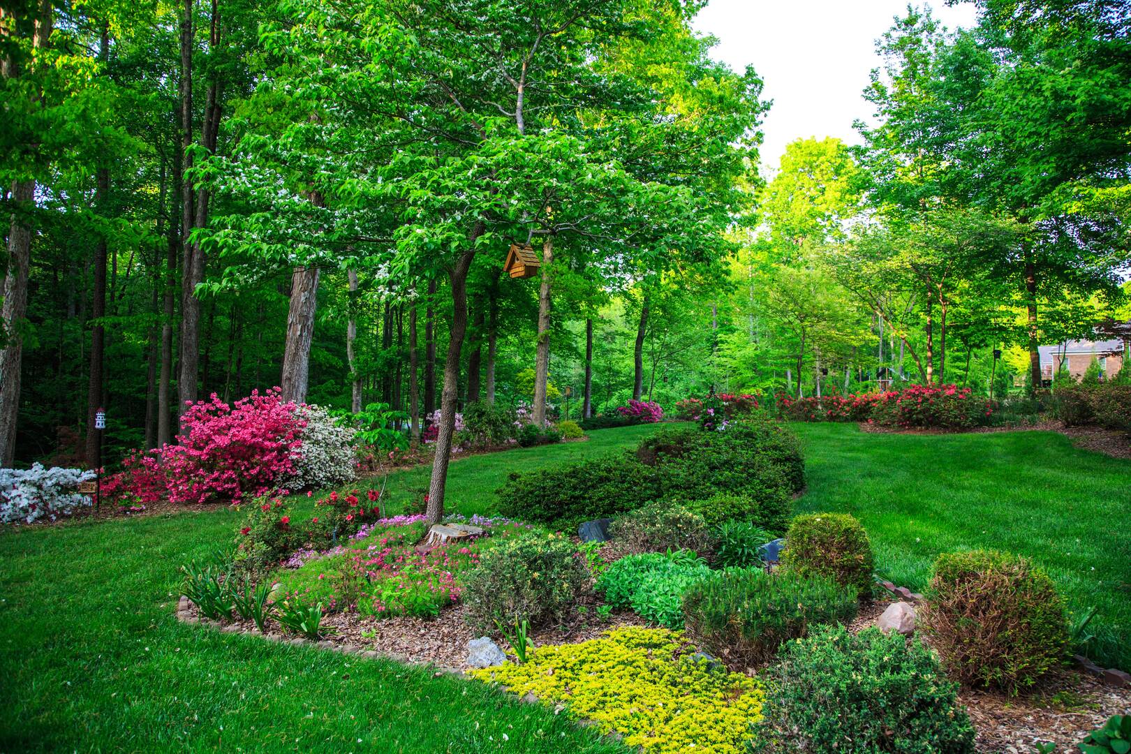 Hudson & Sons Tree Service