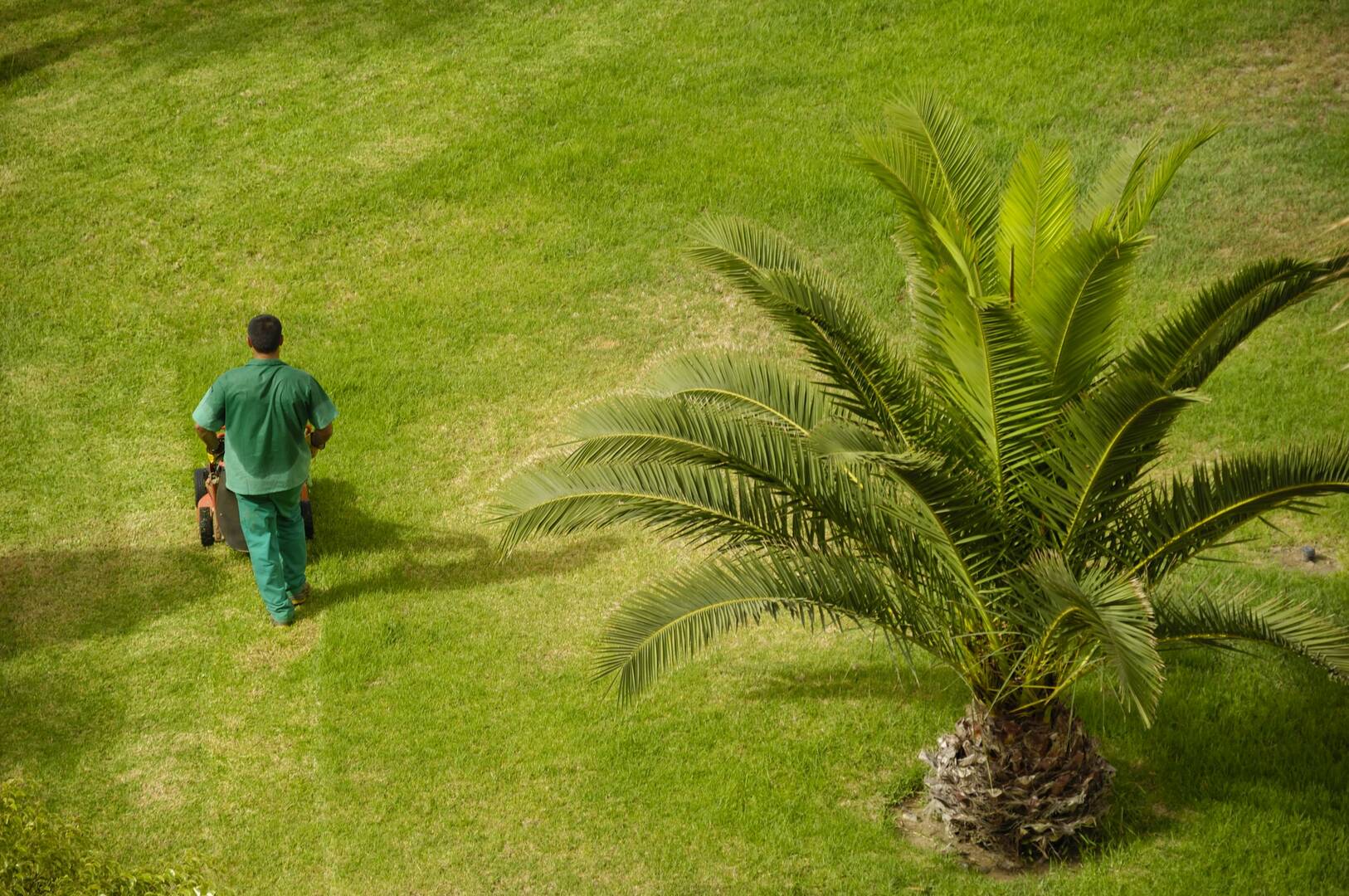 American Pest Professionals
