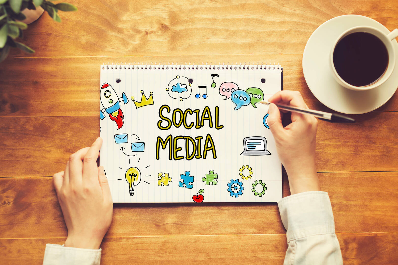 Bluejay Creative Media