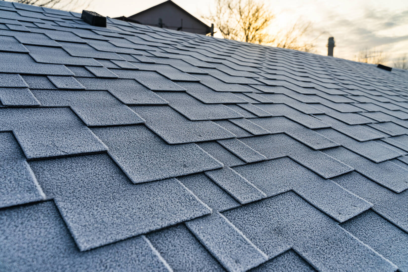 Dezigns Construction Inc - DCI